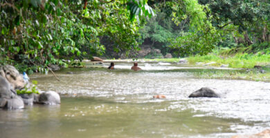 Un hombre en el río Cuaba