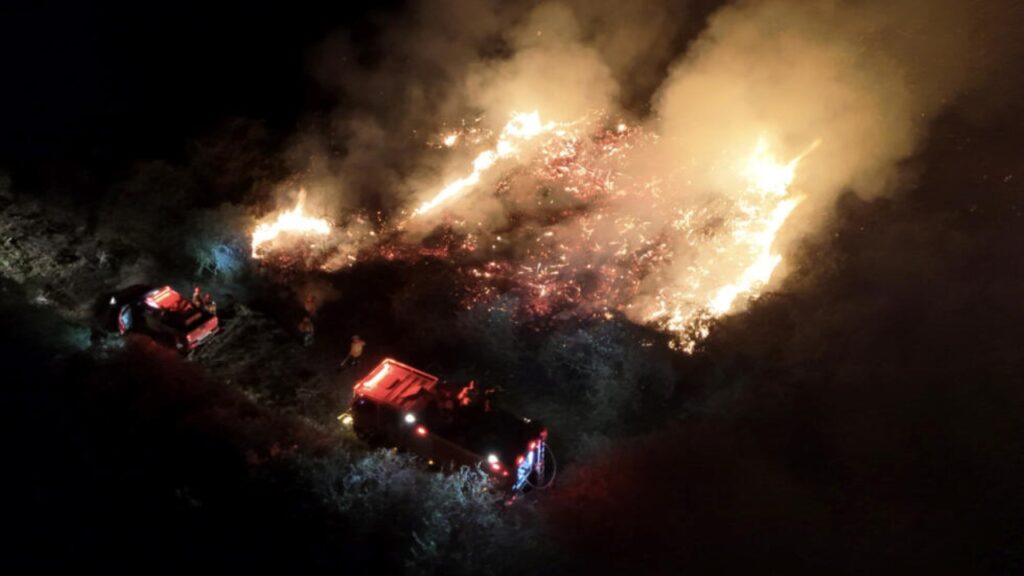 Brasil sospecha que incendios forestales en la Amazonía, el Pantanal y São Paulo son criminales 